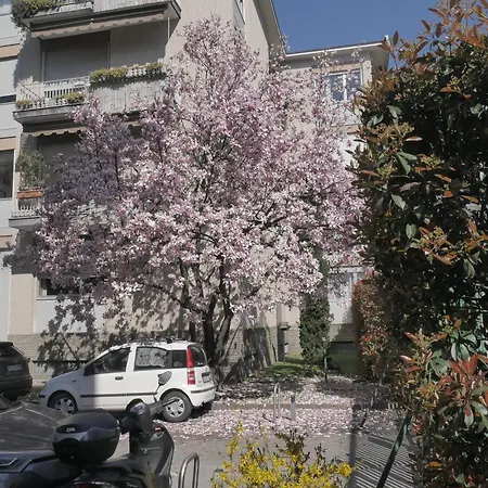Garden Flat Appartement *