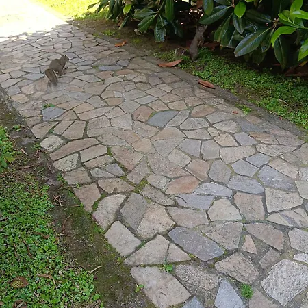 Garden Flat Διαμέρισμα Μιλάνο