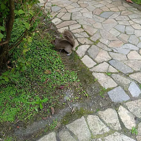 Διαμέρισμα Garden Flat *
