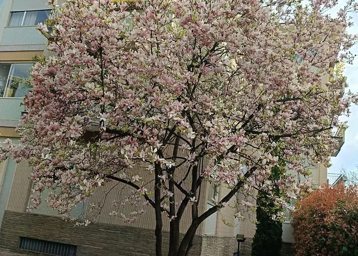 Garden Flat